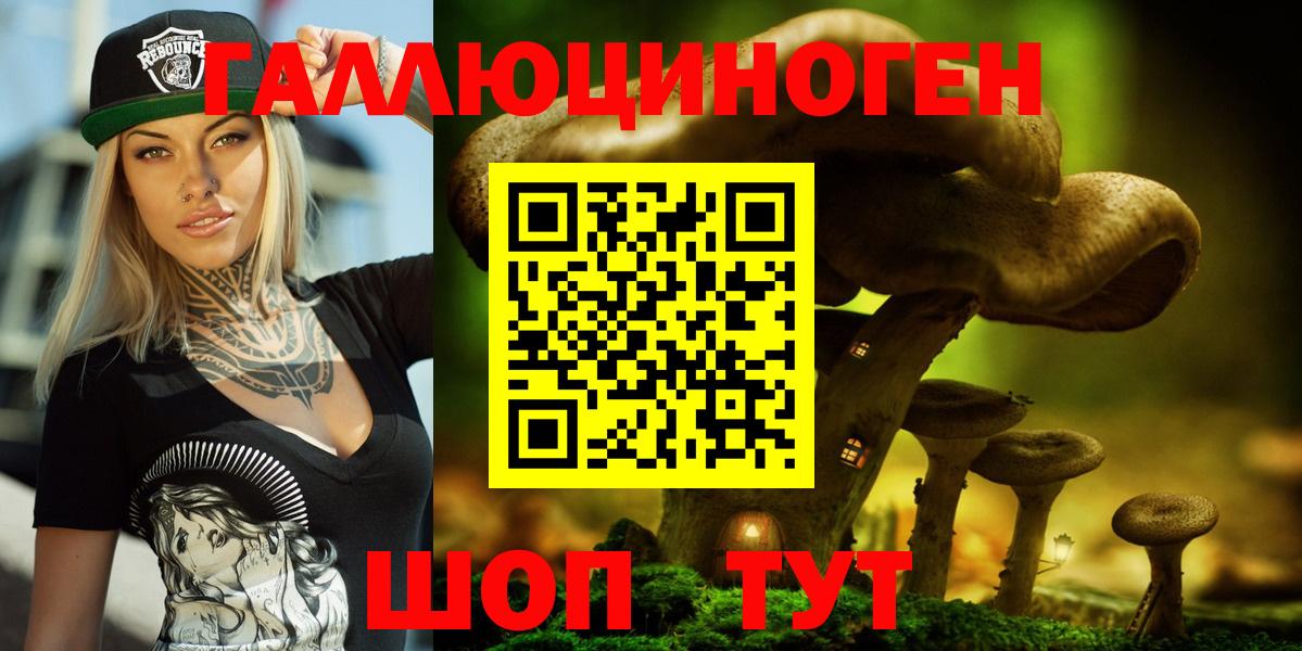 Галлюциногенные грибы Psilocybine cubensis  Вход с VPN  Павловский Посад 